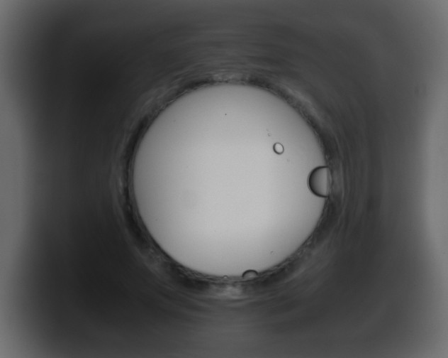 X0000100400687200806060855