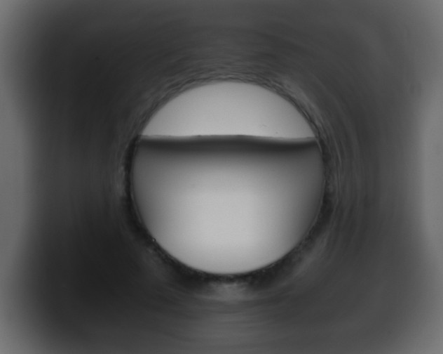 X0000100400689200806060854
