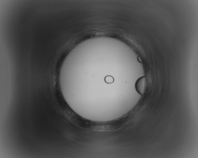 X0000100400691200806060854