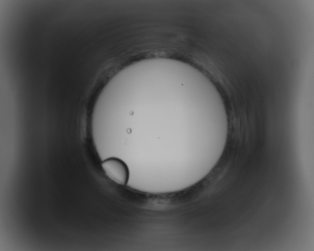 X0000100400694200806060854
