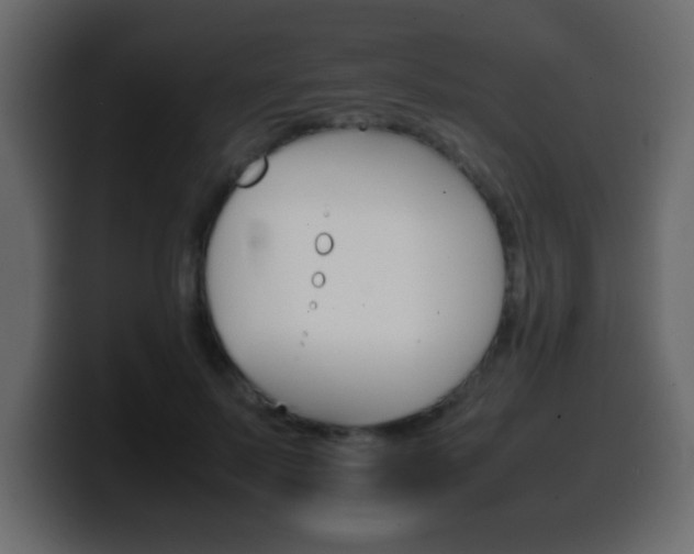 X0000100400695200806060854