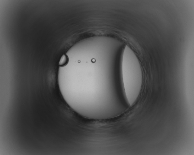 X0000100400697200806060854