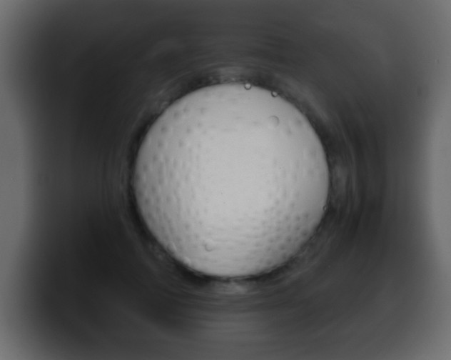 X0000100400698200806060854