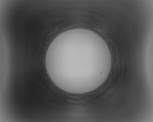 X0000100400705200806060854
