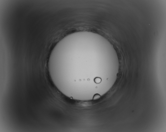X0000100400711200806060854