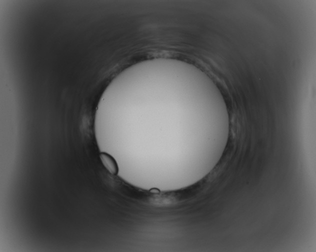 X0000100400714200806060854