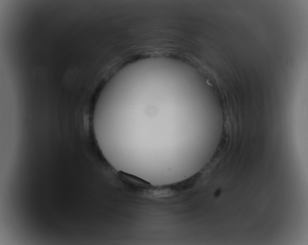 X0000100400716200806060854