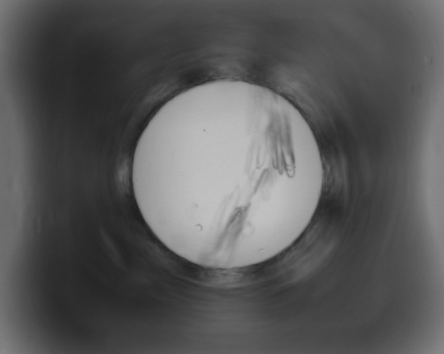 X0000100400717200806060854