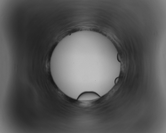 X0000100400718200806060854