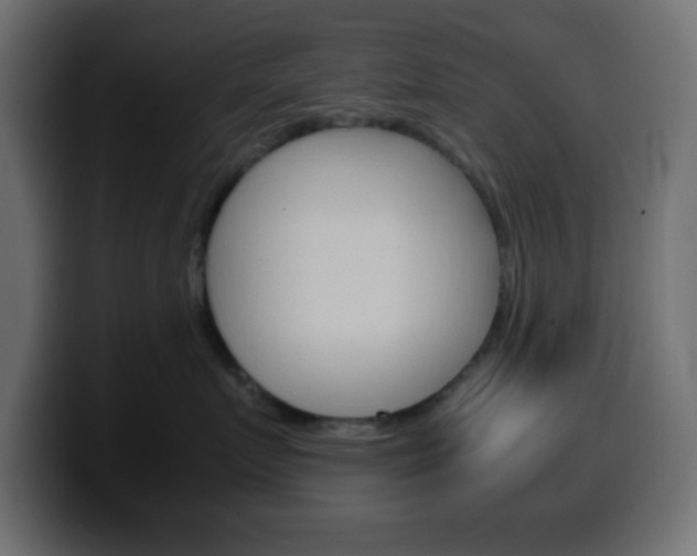 X0000100400719200806060854