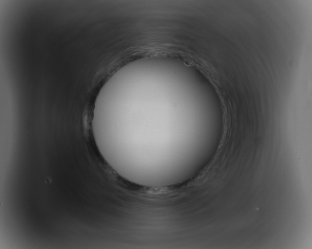 X0000100400720200806060854