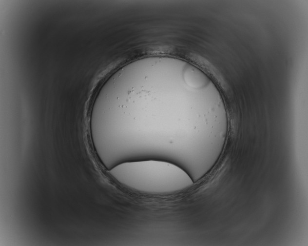 X0000100400721200806060853