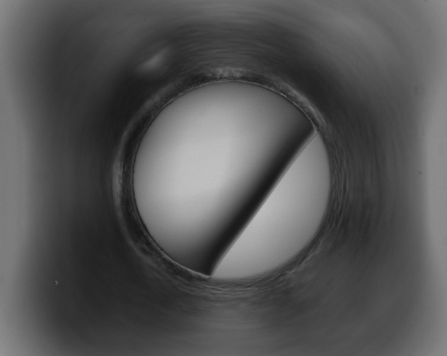 X0000100400722200806060853