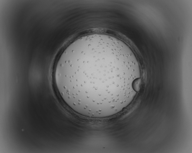 X0000100400725200806060853