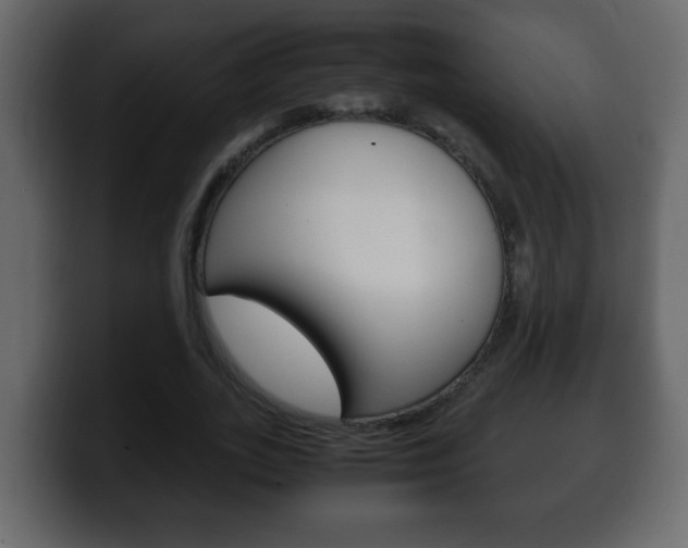 X0000100400727200806060854
