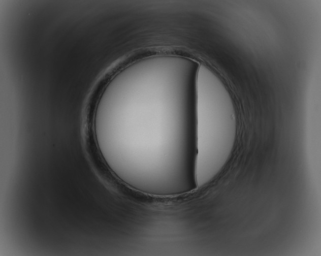 X0000100400728200806060854