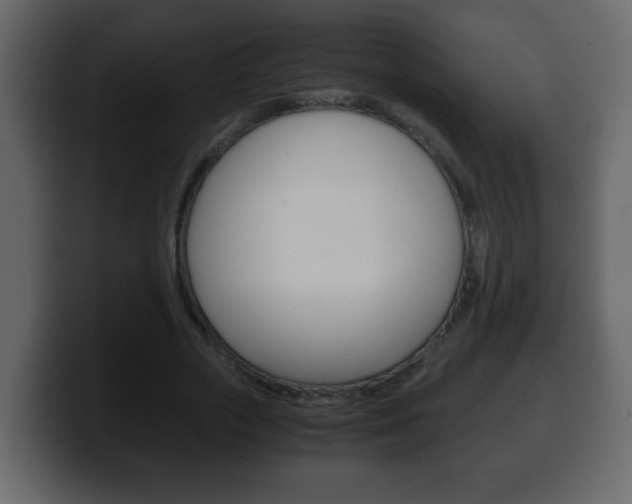 X0000100400729200806060854