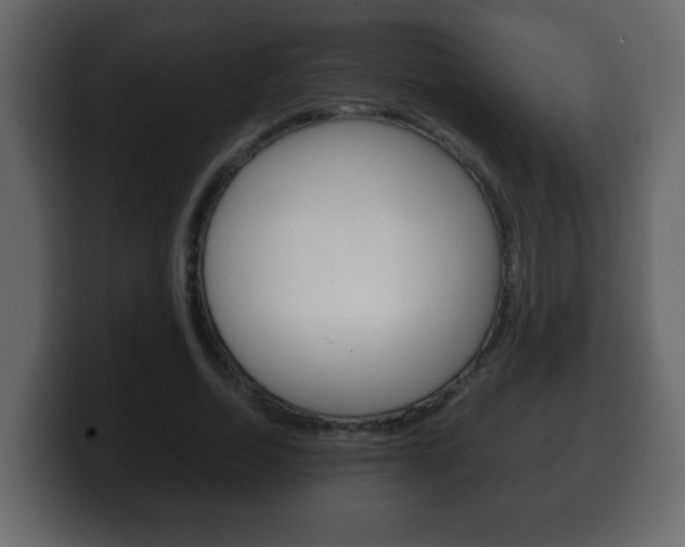 X0000100400730200806060854