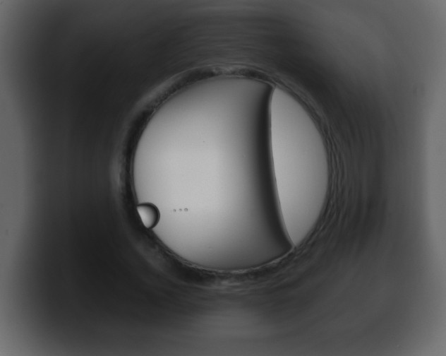 X0000100400732200806060854