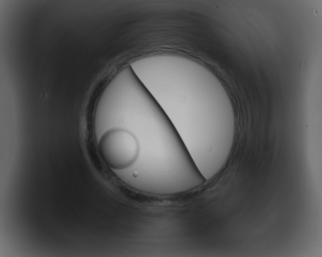 X0000100400734200806060854