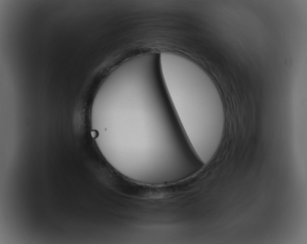 X0000100400735200806060854