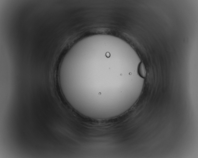 X0000100400739200806060854