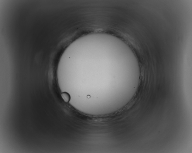 X0000100400740200806060854