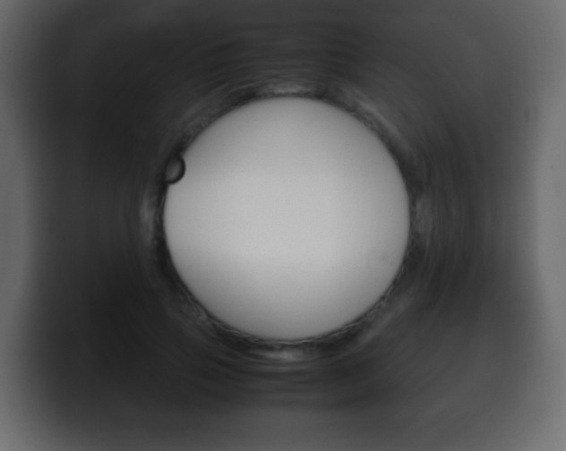 X0000100400741200806060854