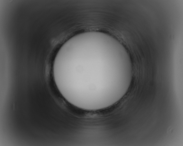 X0000100400742200806060854