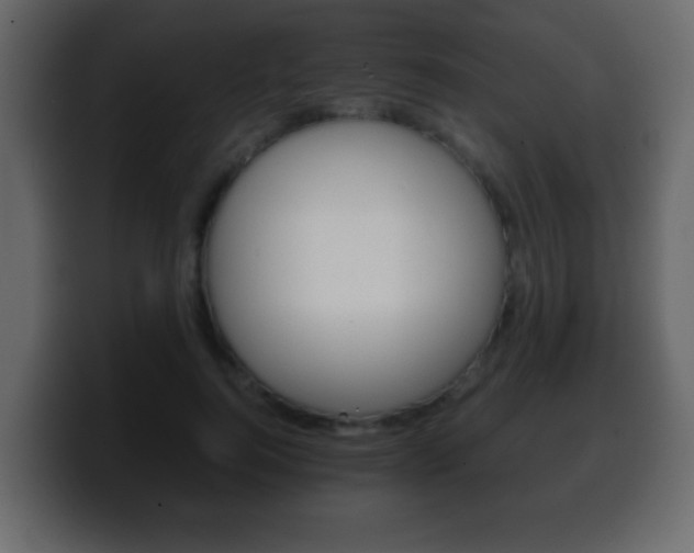 X0000100400744200806060854