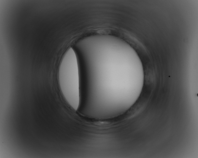 X0000100400748200806060854