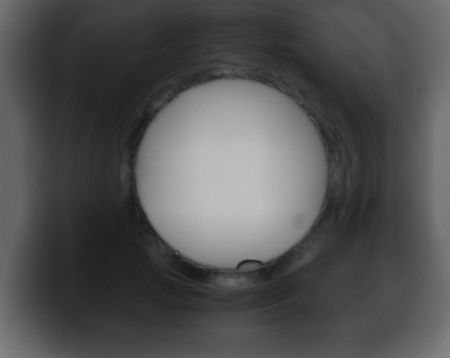 X0000100400749200806060854