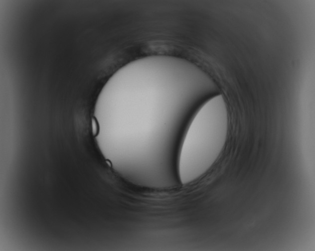 X0000100400751200806060854