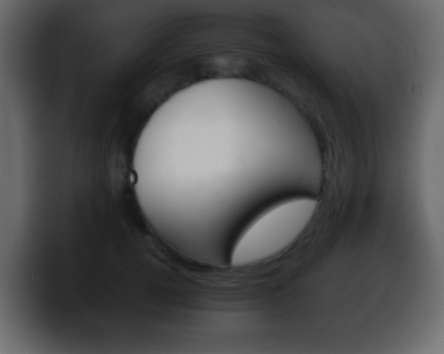 X0000100400752200806060854