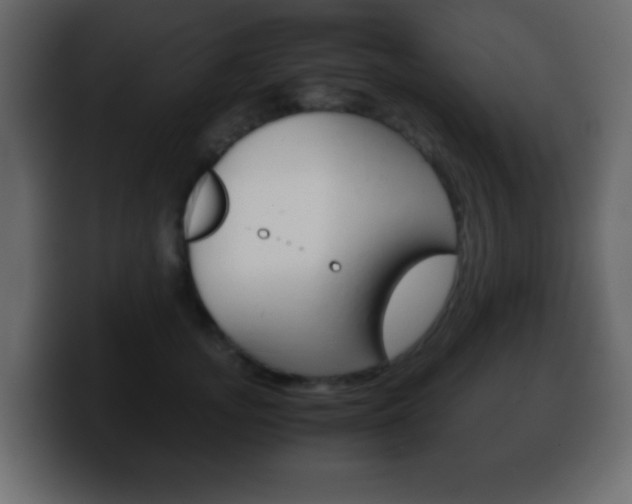 X0000100400755200806060854