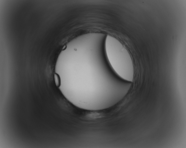 X0000100400759200806060854