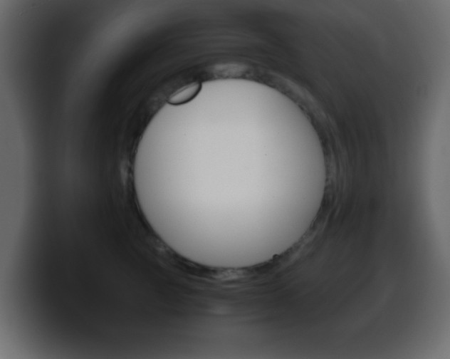 X0000100400761200806060854