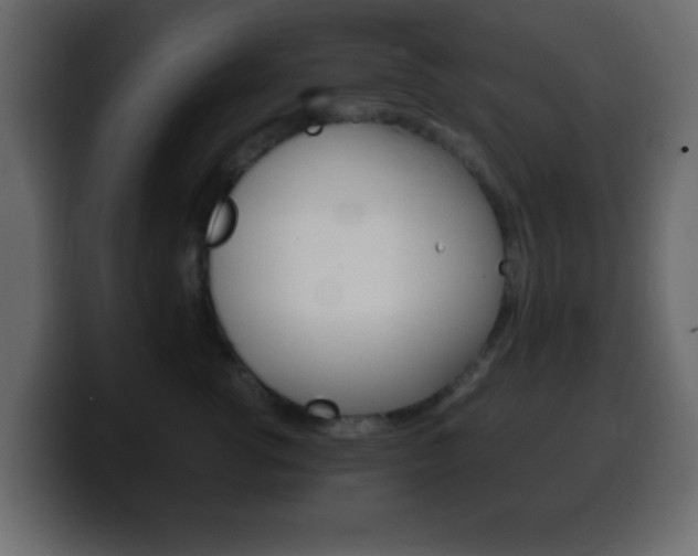 X0000100400762200806060854