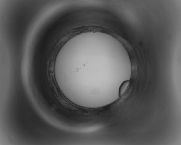 X0000100400765200806060854
