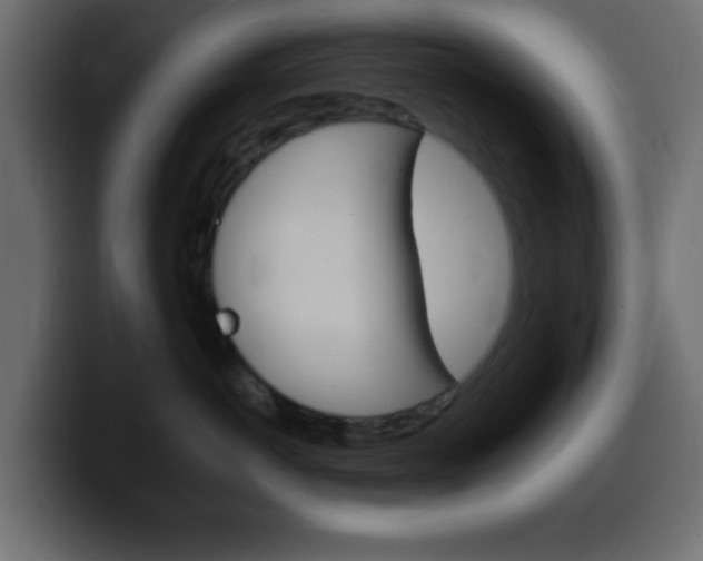 X0000100400766200806060854