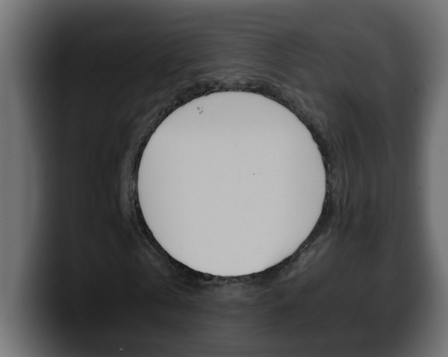 X0000100400769200806060853