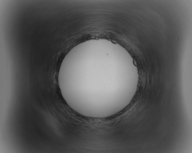 X0000100400770200806060853
