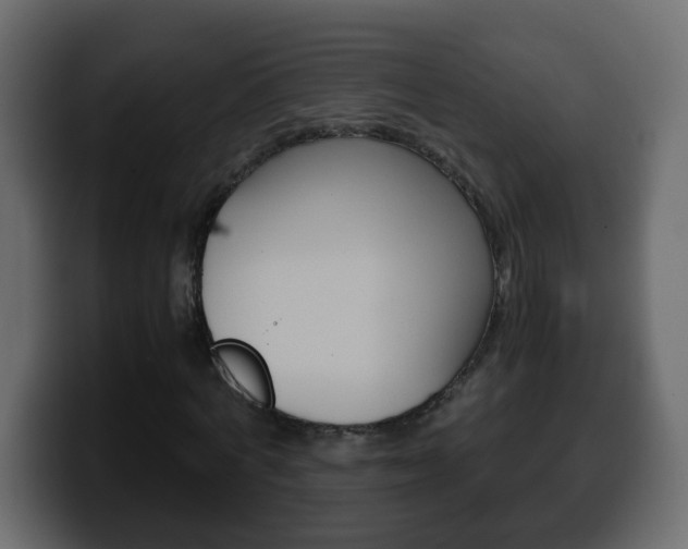 X0000100400772200806060853