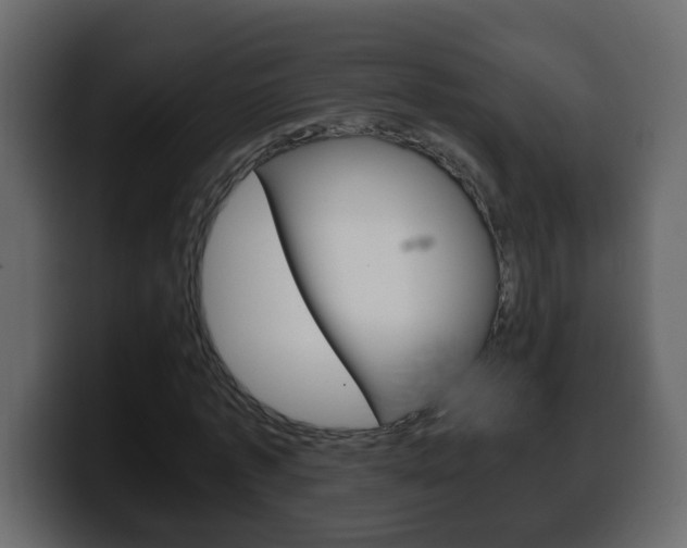 X0000100400773200806060853