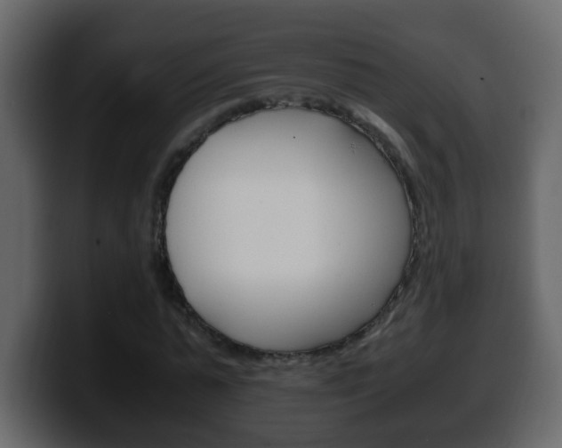X0000100400775200806060853
