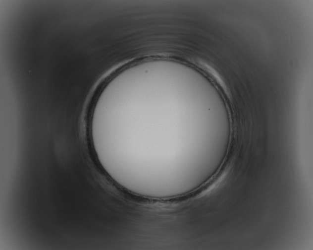 X0000100400779200806060853