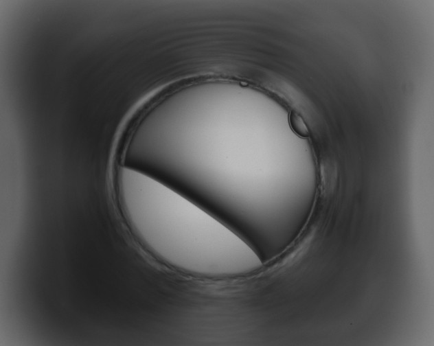 X0000100400780200806060853