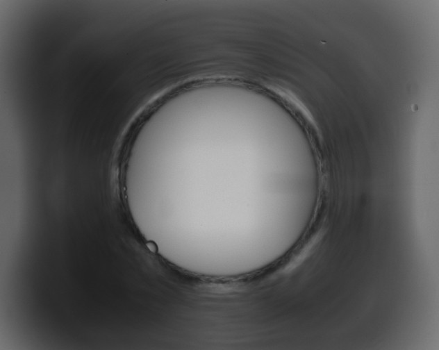 X0000100400781200806060853
