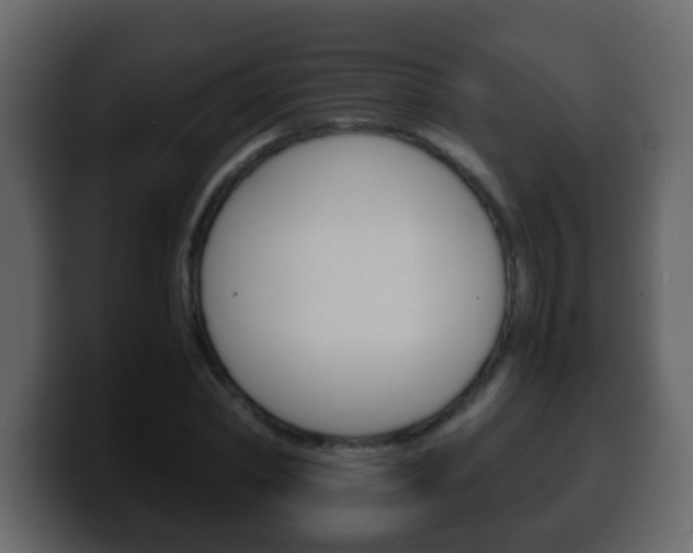 X0000100400782200806060853