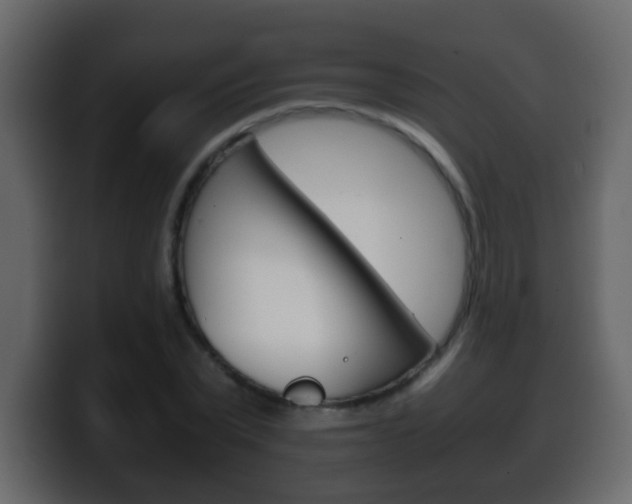 X0000100400783200806060853